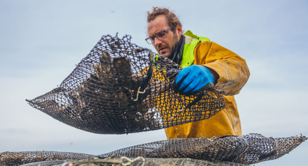 ASC und MSC wollen für nachhaltigen Fischkonsum sensibilisieren - ASC und MSC setzen sich für einen verantwortungsvollen Umgang in Fischerei und Fischzucht ein – Foto: ASC