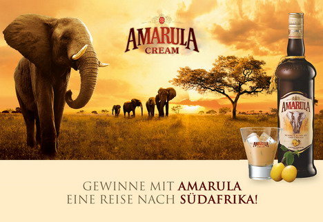 Amarula begleitet den 'Bachelor' mit Multiscreen-Kampagne -