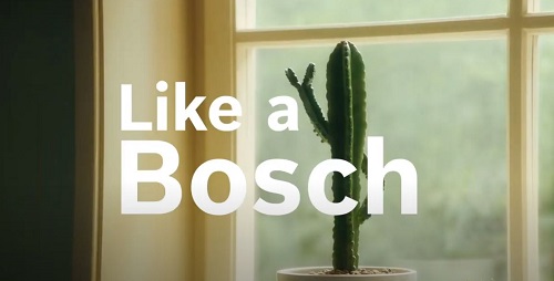 In den neuen Spots von BSH trllern Kakteen nach dem Motto "LIke A Bosch". (Foto: JvM)