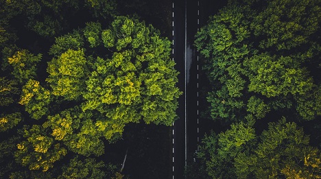 Bayer schließt sich Pilotprojekt von Wunderman Thompson Commerce an - Angestrebte Ziele bei diesem Projekt sind Kosteneinsparungen, Reduzierung der CO2-Emissionen für die Umsetzung der Klimaziele sowie Verbesserung von Transparenz und Verfügbarkeiten von Informationen für die Kunden - Foto: Wunderman Thompson