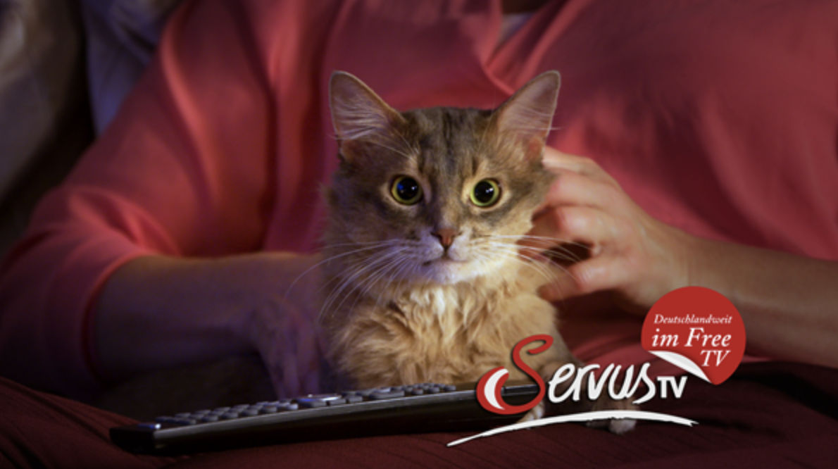 Servus TV geht mit Cat-Content in die Offensive - (Bild: ServusTV)