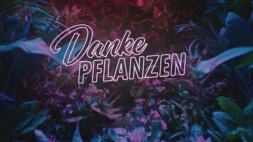 Blumenbüro Holland und 180 Kingsday bedanken sich bei Pflanzen - Mit einem Musik-Video in Neon-Optik bedanken sich Blumenbüro Holland und 180 Kingsday bei Pflanzen (Foto: 180 Kingsday)
