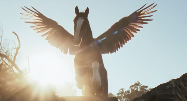 Budweiser feiert sich und Amerika mit einem Fohlen und einem Adler - Budweiser läutet den Reigen der SuperBowl-Spots mit einer Botschaft ein, die so vielleicht nicht gewollt war - Foto: Budweiser