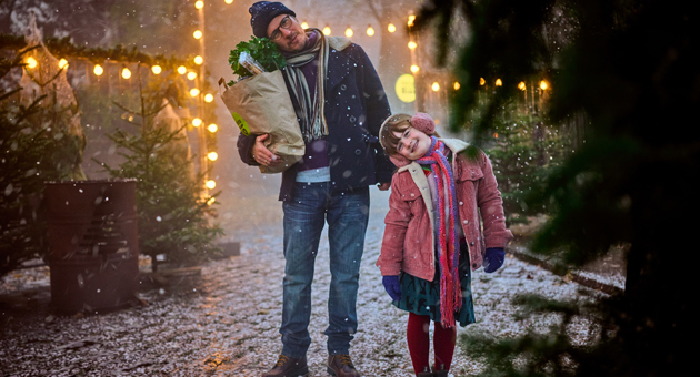 Gerade Tannenbäume sind hoffnungslos überbewertet - Bei Denns BioMarkt wird einem missachteten Weihnachtsbaum die Achtung zuteil, die er verdient - Foto: Denns BioMarkt