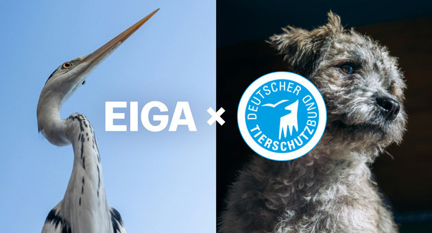 Deutscher Tierschutzbund richtet Markenauftritt neu aus - Eiga gewinnt den Branding-Etat des Deutschen Tierschutzbundes – Foto: Eiga
