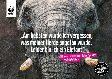 Track kämpft mit WWF gegen Wilderei - Track lässt in der aktuellen WWF-Kampagne die Tiere sprechen (Foto: Track)