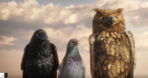 EnBW und Jung von Matt/Neckar setzen Vögel unter Drogen und lassen Katzen fliegen - Drei Vögel und ein Eichhörnchen geben sich im neuen EnBW-Spot geimeinsam eine Dröhnung grüne Energie (Foto: Screenshot YouTube/EnBW)