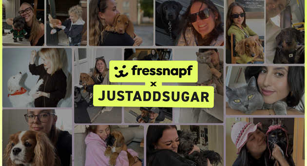 Fressnapf verstärkt Social-Commerce mit neuer Agentur - Justaddsugar setzt bei Fressnapf auf Social-First – Foto: Justaddsugar