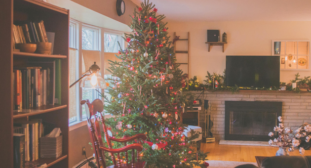 Gedanken eines erfahrenen Weihnachtsbaums - Wenn Ruhe in die gute Stube einkehrt, hat der Weihnachtsbaum Zeit sich Gedanken zu machen ... - Foto: Thepaintedsquare on Pexels