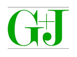 G+J unterstützt Media Impact im Bereich International Sales -
