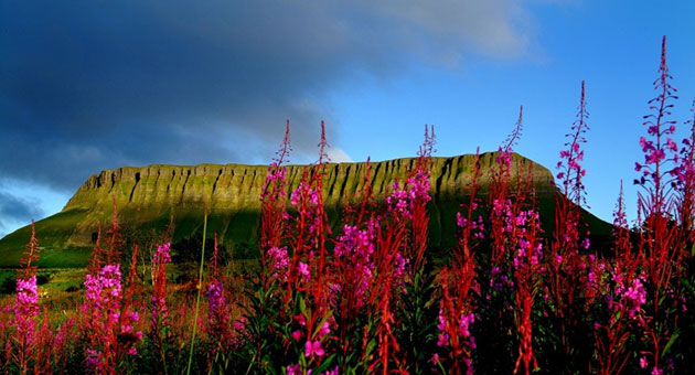 Tourism Ireland Mediapitch entschieden - UM verantwortet künftig den Media-Etat von Tourism Ireland und löst damit denstu/iProspect ab – Foto: Tourism Irland