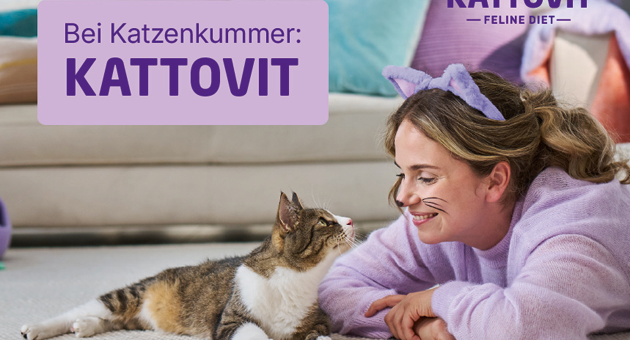 Kattovit startet erste crossmediale Markenkampagne - Häppy entwickelte für Neukunden Kattovit das Keyvisual - Foto: Häppy
