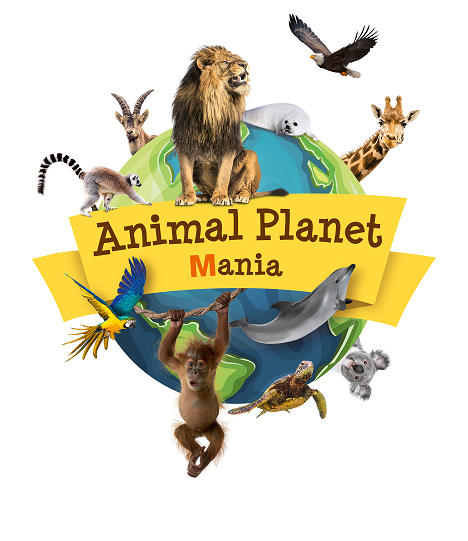 Das Key Visual der Kampagne "Animal Planet Mania" - MSM.digital setzt vor allem auf Augmented-Reality und Bewegtbild (Foto: MSM.digital)