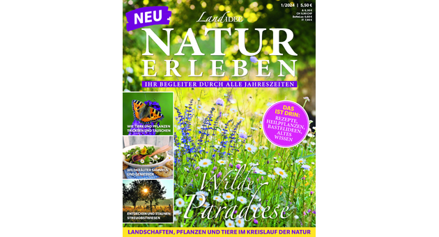 Funke bringt Landidee Natur erleben an den Kiosk - Mit Landidee Natur leben erscheint ein weiterer Ableger der Landidee-Familie - Foto: Funke