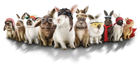Zehn Kaninchen traten beim Media Markt-Osterhasenrennen gegeneinander an. Das von Ogilvy & Mather entwickelte Live-Werbeformat wurde u.a. mit Endemol beyond umgesetzt (Foto: Media Markt)