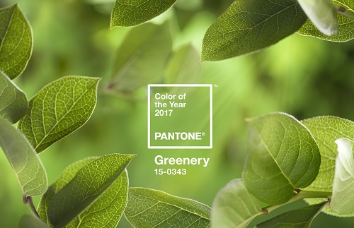 Pantone krt in diesem Jahr 'Greenery' zur Farbe fr 2017 (Foto: Pantone)