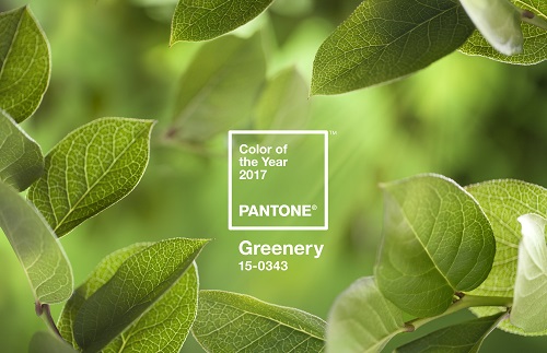 'Greenery' ist Pantone-Farbe des Jahres 2017 - Pantone kürt in diesem Jahr 'Greenery' zur Farbe für 2017 (Foto: Pantone)