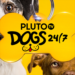 Pluto TV bringt Hunde-Kanal an den Start - Mit einem 24-Stunden-Kanal rund um den Hund baut Pluto TV sein Sender-Angebot weiter aus (Foto: Pluto TV)