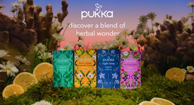 Special London wird globalen Kreativagentur für Pukka by Lipton Tees - Special London soll das globale Wachstum für die Bio-Teemarke Pukka weiter ausbauen – Foto: Screenshot / Pukka