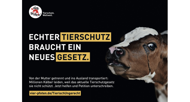 Vier Pfoten und Pilot werben für besseren Tierschutz - Ziel der Kampagne sei es, Aufklärung und Aufmerksamkeit für die derzeit ungenügende Rechtslage im deutschen Tierschutz zu schaffen - Foto: pilot