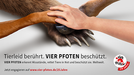 Vier Pfoten reicht Tieren eine helfende Hand (Foto: Vier Pfoten)