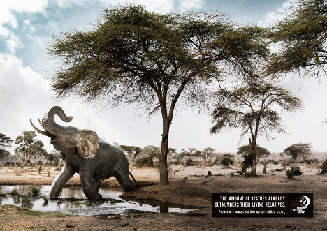Leo Burnett und die Zoologische Gesellschaft bekämpfen Wilderei - Leo Burnett setzt sich mit den Motiven für die Zoologische Gesellschaft Frankfurt gegen Wilderei ein (Foto: Leo Burnett)
