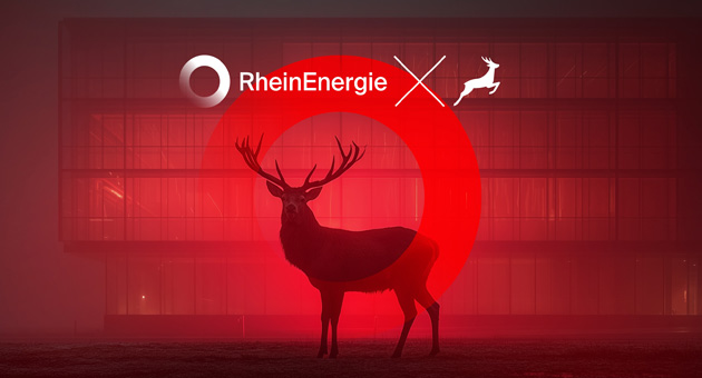 Zum goldenen Hirschen überzeugt RheinEnergie - Foto: ZgH
