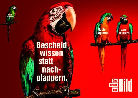 Jung von Matt/Havel lässt für 'Bild' Papageien Enten verbreiten - Fakten statt Fake News: "Cologne – so sad!" twittern die Papageien im Spot (Bild: Axel Springer)