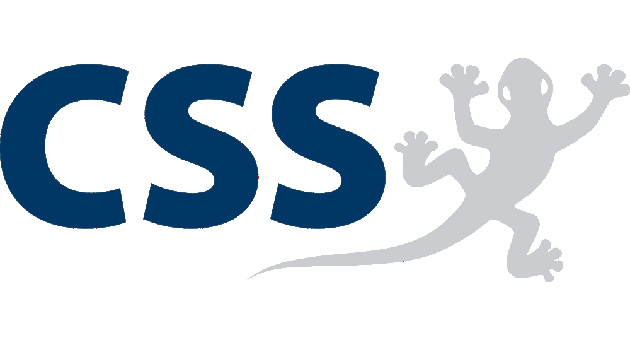 PR-Com baut Neugeschäft mit CSS aus - Logo: CSS