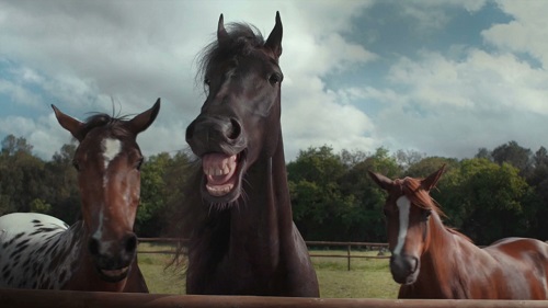 Die Jury der Klappe vergoldet die lachenden Pferde von Grabarz & Partner fr Volkswagen vierfach (Foto: Screenshot YouTube/Volkswagen)